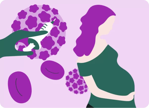HPV elleni védőoltás terhesség alatt